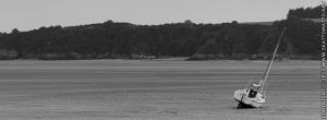 LANDSCAPES AB (18)0551-2009-07-08-fb no logo.jpg
